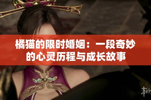 橘猫的限时婚姻：一段奇妙的心灵历程与成长故事