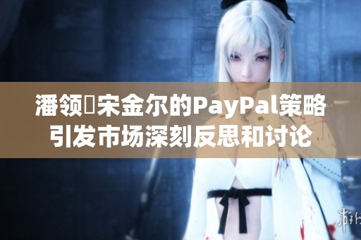 潘领啰宋金尔的PayPal策略引发市场深刻反思和讨论