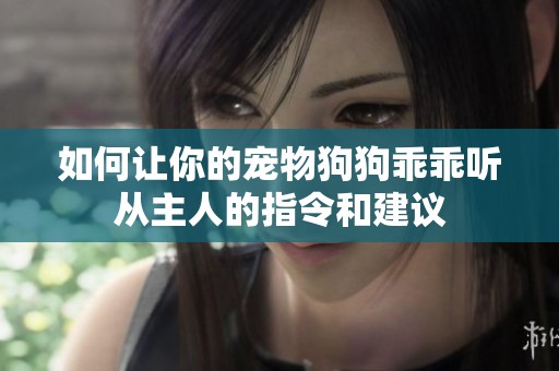 如何让你的宠物狗狗乖乖听从主人的指令和建议