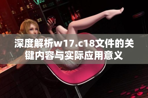 深度解析w17.c18文件的关键内容与实际应用意义