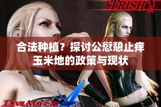 合法种植？探讨公愆憩止痒玉米地的政策与现状