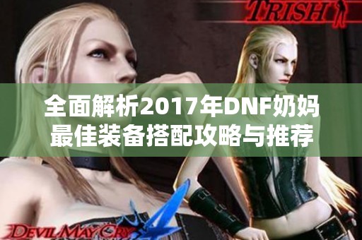 全面解析2017年DNF奶妈最佳装备搭配攻略与推荐