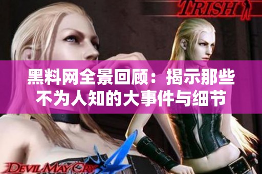 黑料网全景回顾：揭示那些不为人知的大事件与细节