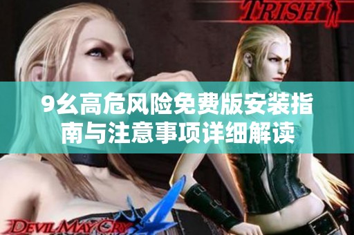 9幺高危风险免费版安装指南与注意事项详细解读
