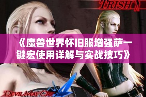 《魔兽世界怀旧服增强萨一键宏使用详解与实战技巧》