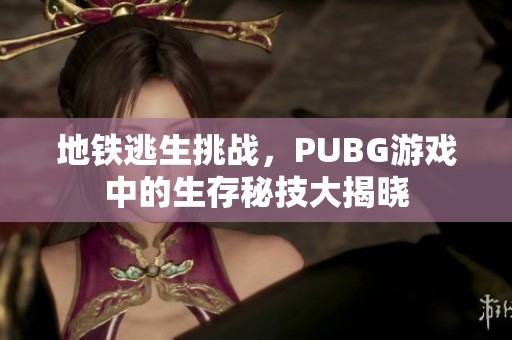 地铁逃生挑战，PUBG游戏中的生存秘技大揭晓