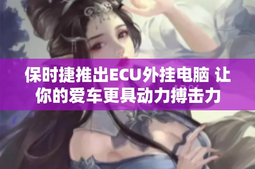 保时捷推出ECU外挂电脑 让你的爱车更具动力搏击力