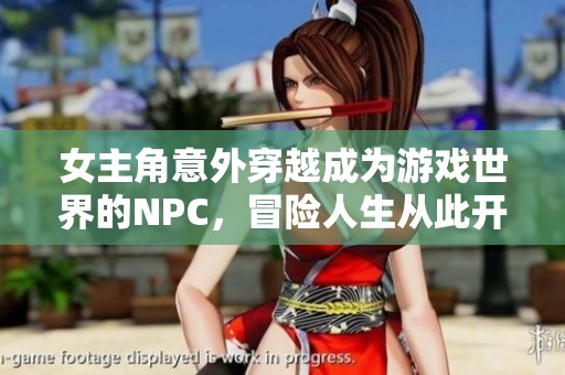 女主角意外穿越成为游戏世界的NPC，冒险人生从此开启