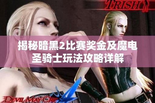 揭秘暗黑2比赛奖金及魔电圣骑士玩法攻略详解