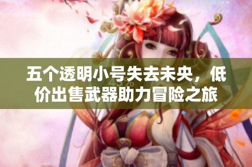 五个透明小号失去未央，低价出售武器助力冒险之旅