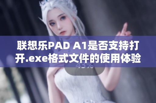 联想乐PAD A1是否支持打开.exe格式文件的使用体验分析