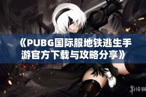 《PUBG国际服地铁逃生手游官方下载与攻略分享》