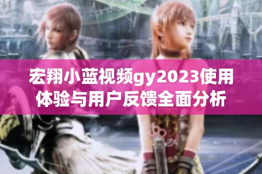 宏翔小蓝视频gy2023使用体验与用户反馈全面分析