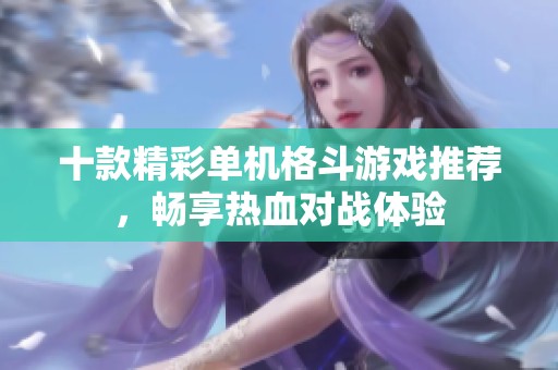 十款精彩单机格斗游戏推荐，畅享热血对战体验