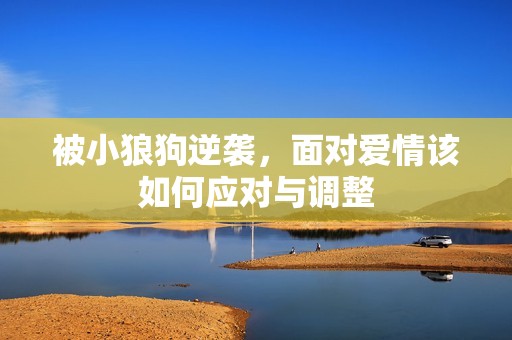 被小狼狗逆袭，面对爱情该如何应对与调整