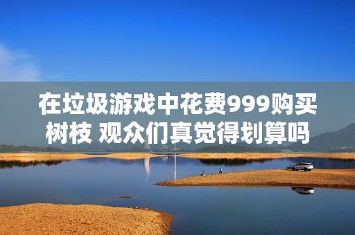 在垃圾游戏中花费999购买树枝 观众们真觉得划算吗