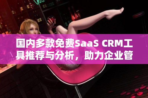 国内多款免费SaaS CRM工具推荐与分析，助力企业管理提升