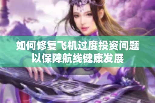 如何修复飞机过度投资问题以保障航线健康发展