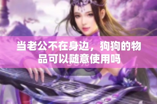 当老公不在身边，狗狗的物品可以随意使用吗