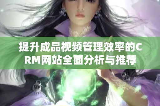 提升成品视频管理效率的CRM网站全面分析与推荐