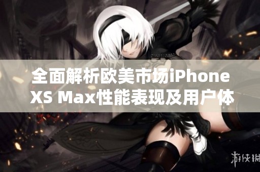 全面解析欧美市场iPhone XS Max性能表现及用户体验