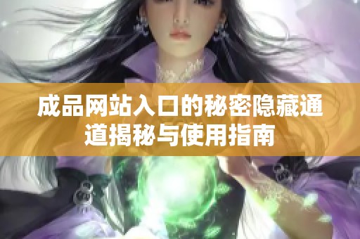 成品网站入口的秘密隐藏通道揭秘与使用指南