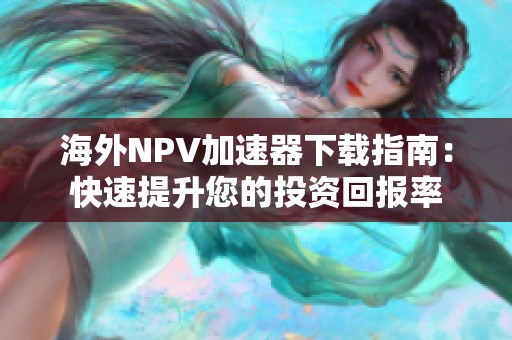 海外NPV加速器下载指南：快速提升您的投资回报率