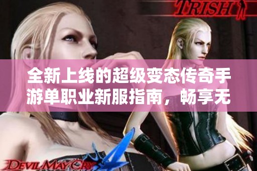 全新上线的超级变态传奇手游单职业新服指南，畅享无限冒险与传奇乐趣