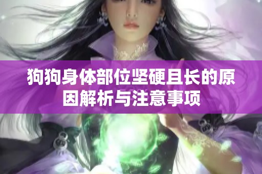 狗狗身体部位坚硬且长的原因解析与注意事项