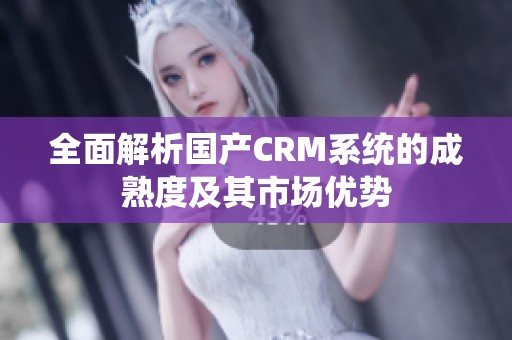 全面解析国产CRM系统的成熟度及其市场优势