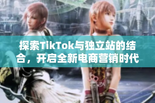 探索TikTok与独立站的结合，开启全新电商营销时代