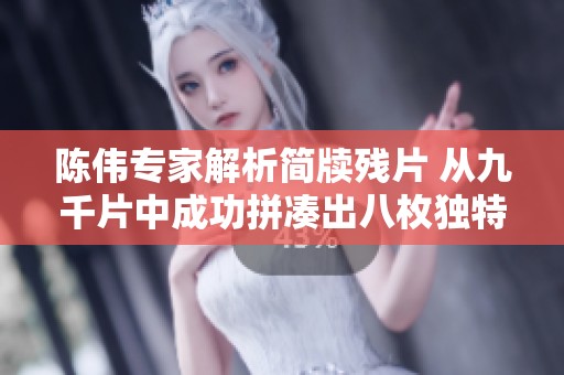 陈伟专家解析简牍残片 从九千片中成功拼凑出八枚独特简与半支简的过程