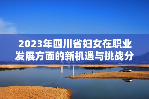 2023年四川省妇女在职业发展方面的新机遇与挑战分析