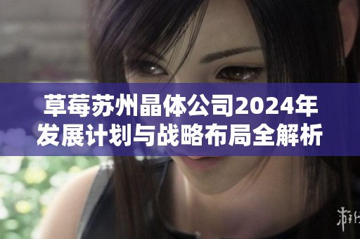 草莓苏州晶体公司2024年发展计划与战略布局全解析