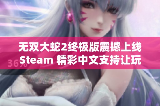 无双大蛇2终极版震撼上线Steam 精彩中文支持让玩家畅享激情战斗体验