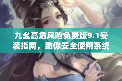 九幺高危风险免费版9.1安装指南，助你安全使用系统