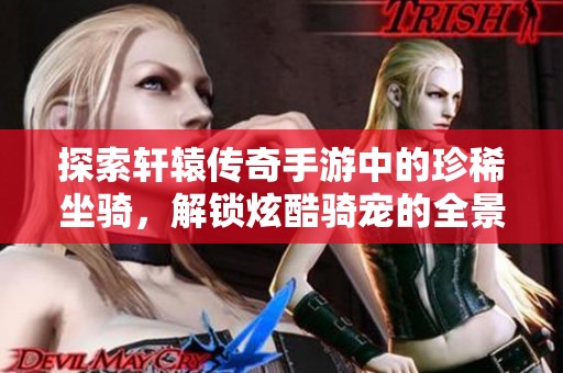 探索轩辕传奇手游中的珍稀坐骑，解锁炫酷骑宠的全景图鉴彩金