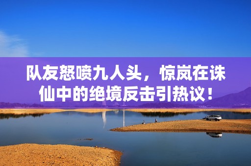 队友怒喷九人头，惊岚在诛仙中的绝境反击引热议！