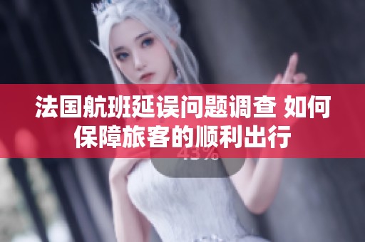 法国航班延误问题调查 如何保障旅客的顺利出行