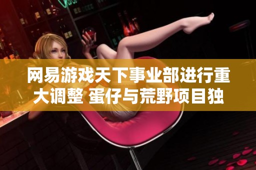 网易游戏天下事业部进行重大调整 蛋仔与荒野项目独立升级成新事业部