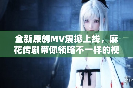 全新原创MV震撼上线，麻花传剧带你领略不一样的视听盛宴