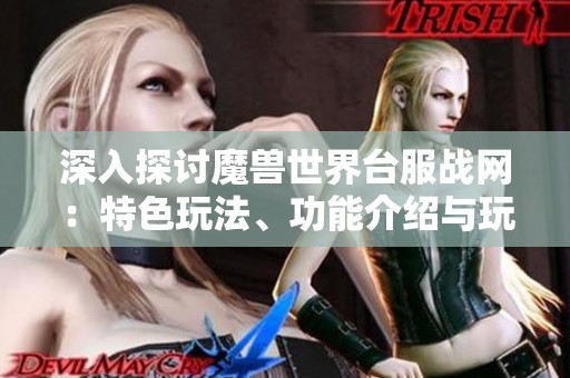 深入探讨魔兽世界台服战网：特色玩法、功能介绍与玩家实用指南