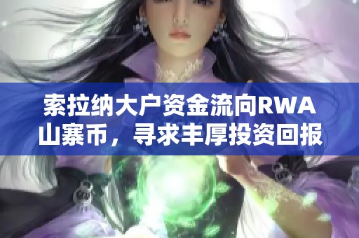 索拉纳大户资金流向RWA山寨币，寻求丰厚投资回报