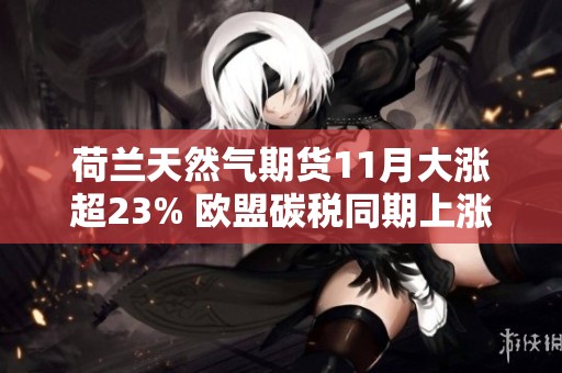 荷兰天然气期货11月大涨超23% 欧盟碳税同期上涨6%