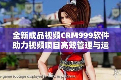 全新成品视频CRM999软件助力视频项目高效管理与运营