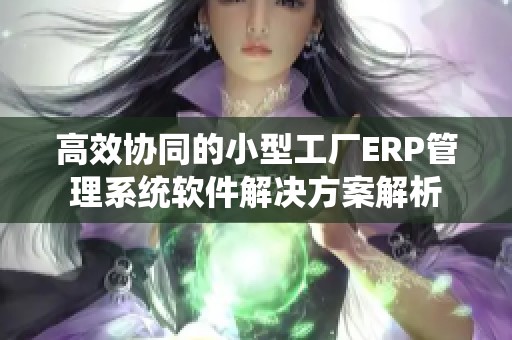 高效协同的小型工厂ERP管理系统软件解决方案解析