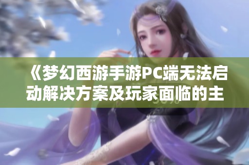 《梦幻西游手游PC端无法启动解决方案及玩家面临的主要挑战分析》