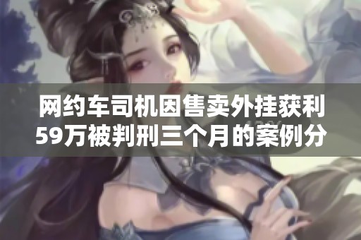 网约车司机因售卖外挂获利59万被判刑三个月的案例分析