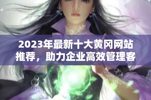 2023年最新十大黄冈网站推荐，助力企业高效管理客户关系