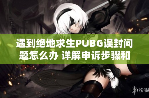 遇到绝地求生PUBG误封问题怎么办 详解申诉步骤和技巧分享